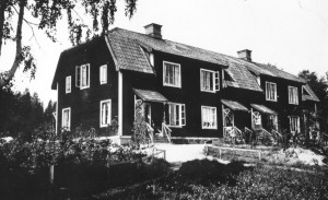 Raitet